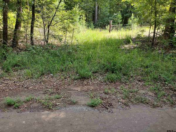 14.9 Acres of Land for Sale in Lone Star, Texas