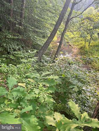 2.18 Acres of Land for Sale in Mineral, Virginia