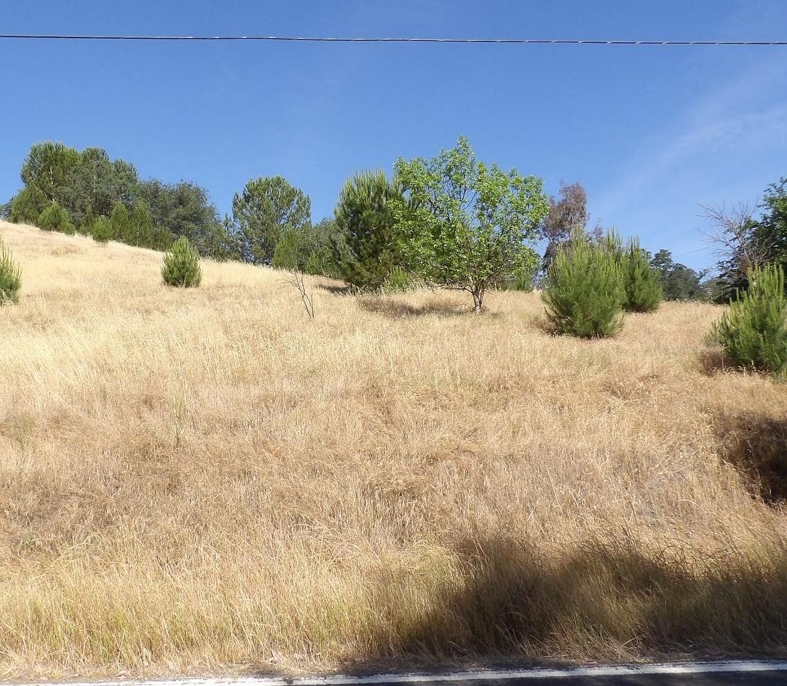 1.2 Acres of Residential Land for Sale in Valley Springs, California