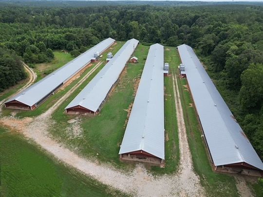 87.2 Acres of Improved Land for Sale in Carlton, Georgia
