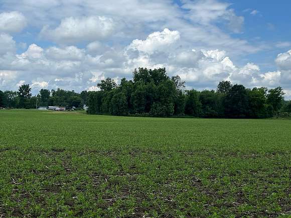 11.3 Acres of Land for Sale in Otisville, Michigan