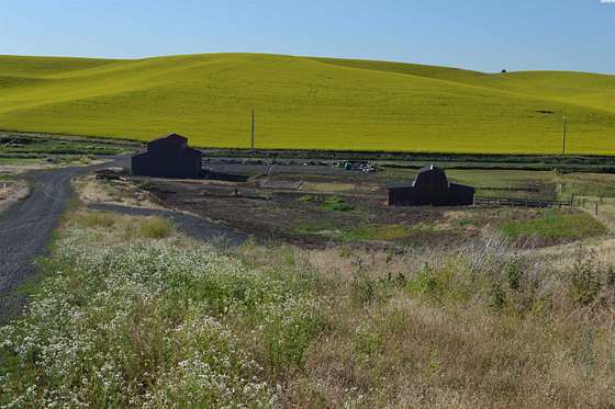 3.3 Acres of Improved Commercial Land for Sale in Pullman, Washington