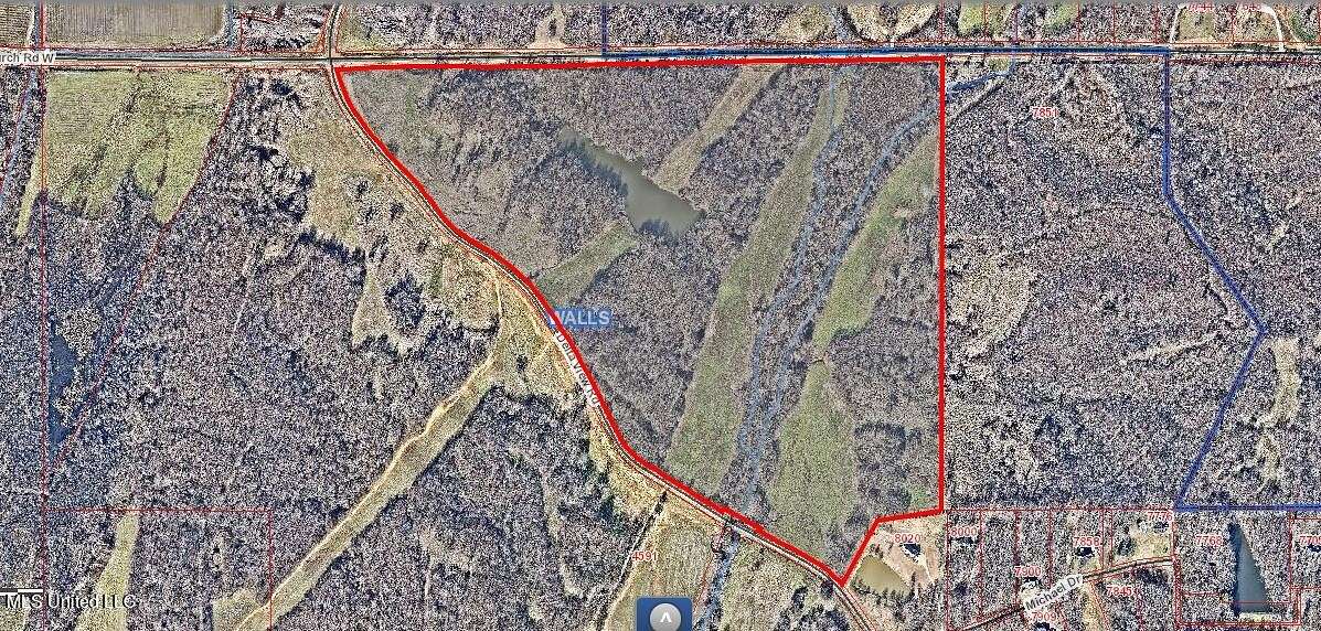 154 Acres of Land for Sale in Walls, Mississippi