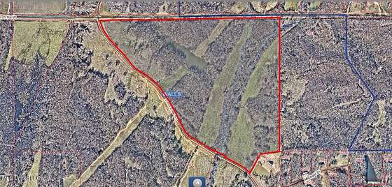 154 Acres of Land for Sale in Walls, Mississippi