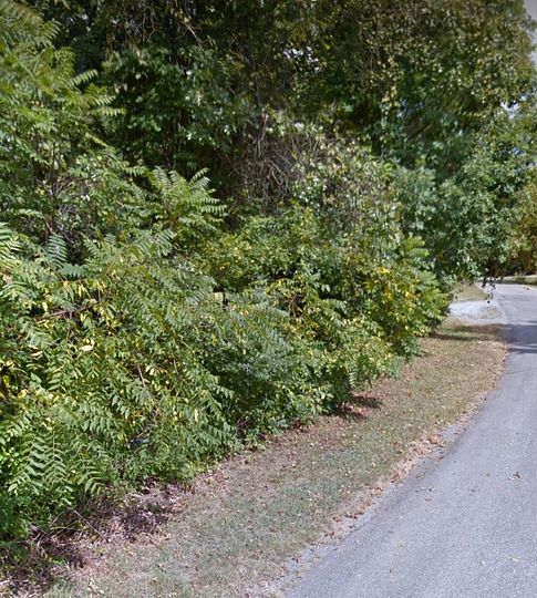 0.6 Acres of Residential Land for Sale in Bedford, Virginia