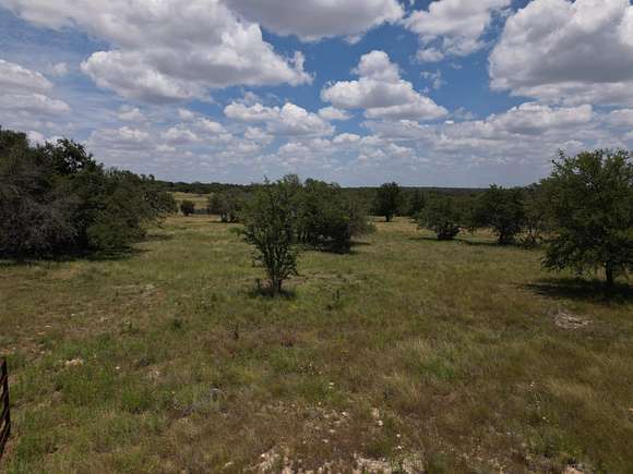 27.36 Acres of Agricultural Land for Sale in Briggs, Texas