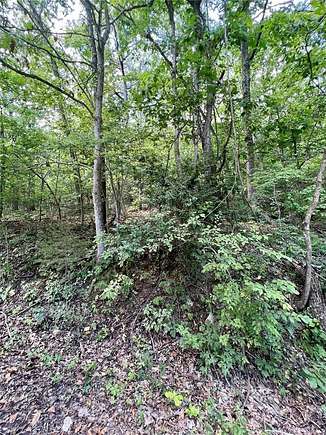 0.169 Acres of Residential Land for Sale in De Soto, Missouri