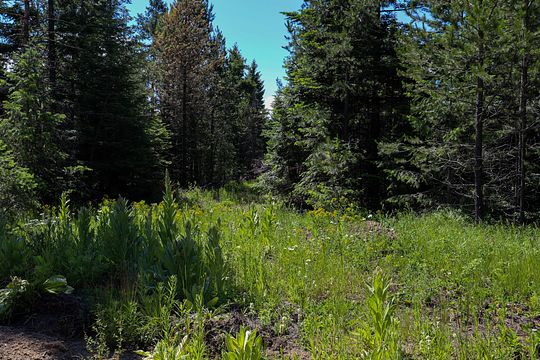 20.3 Acres of Recreational Land & Farm for Sale in Newport, Washington