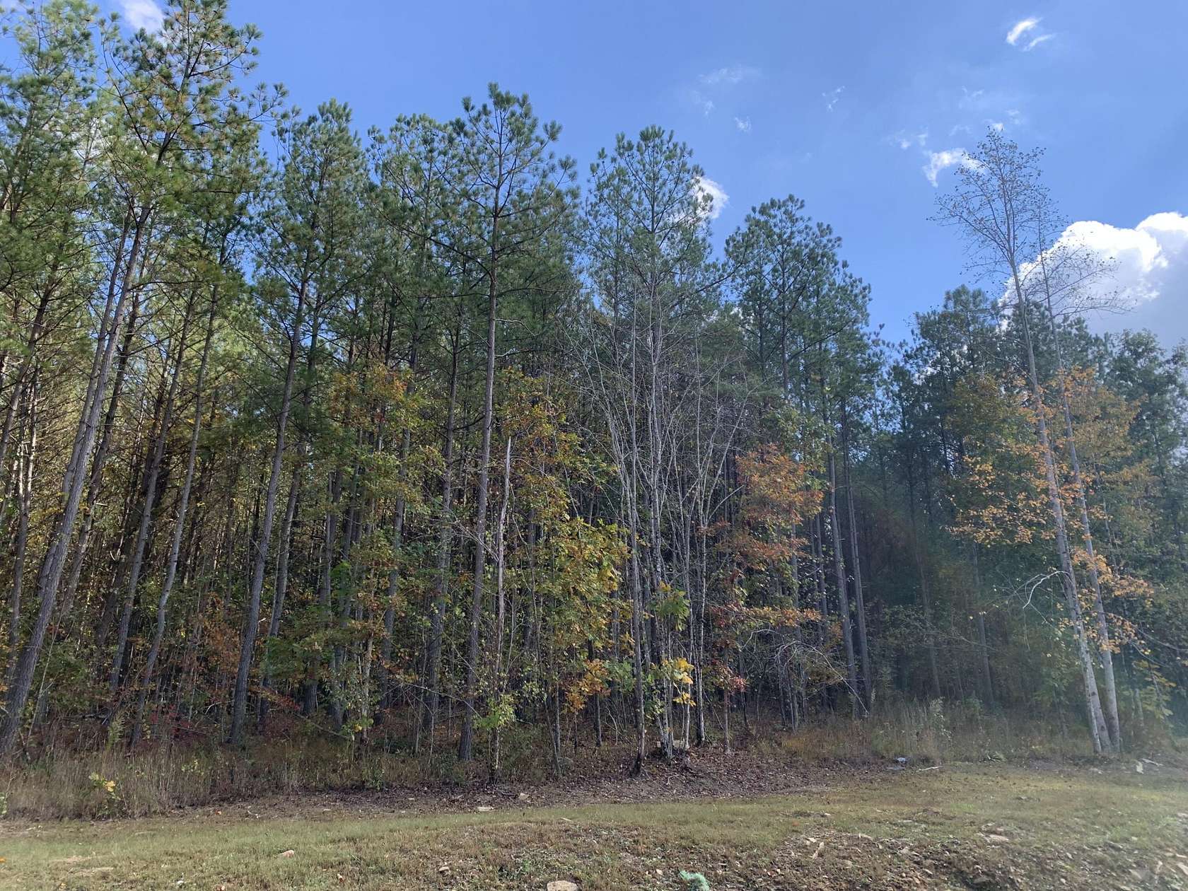 1 Acre of Residential Land for Sale in Jasper, Tennessee