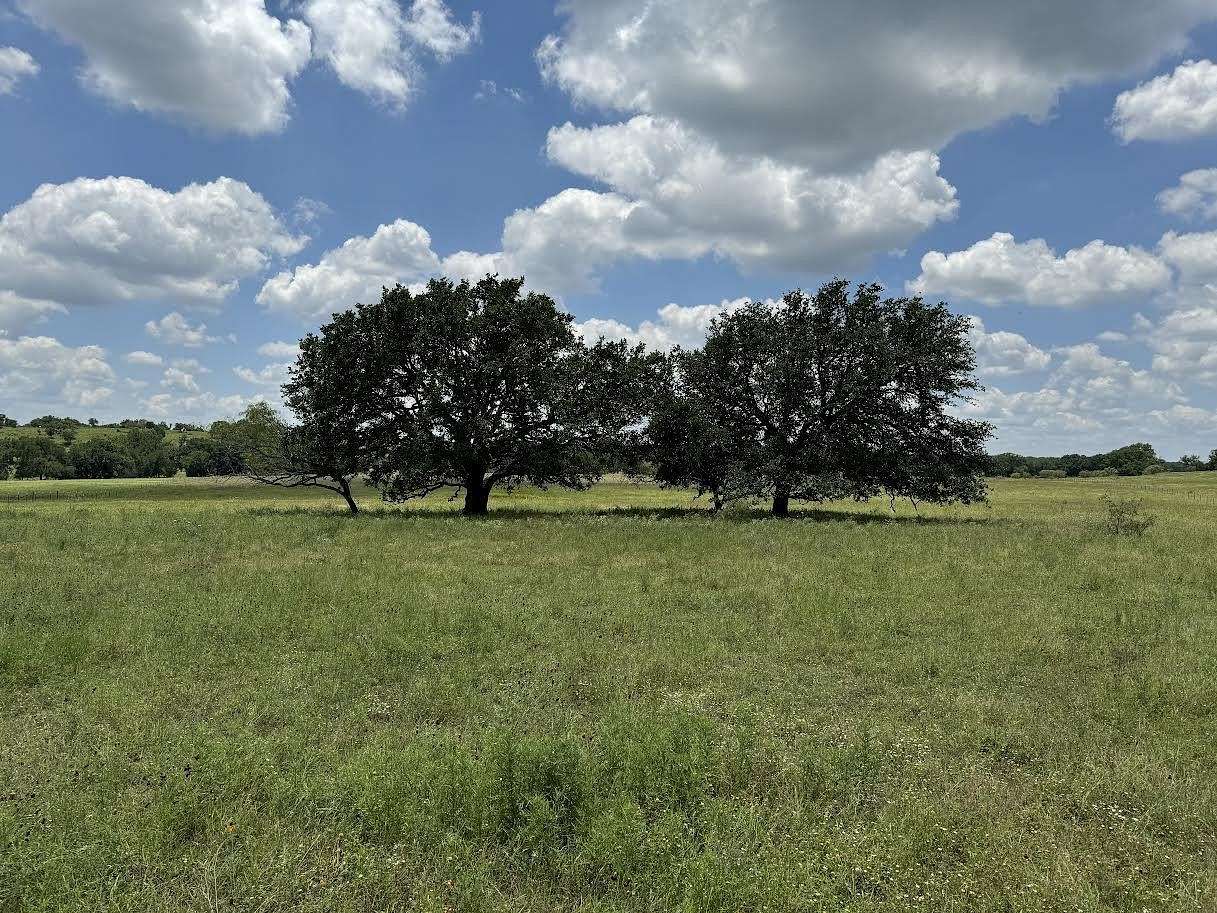 23.75 Acres of Agricultural Land for Sale in Briggs, Texas