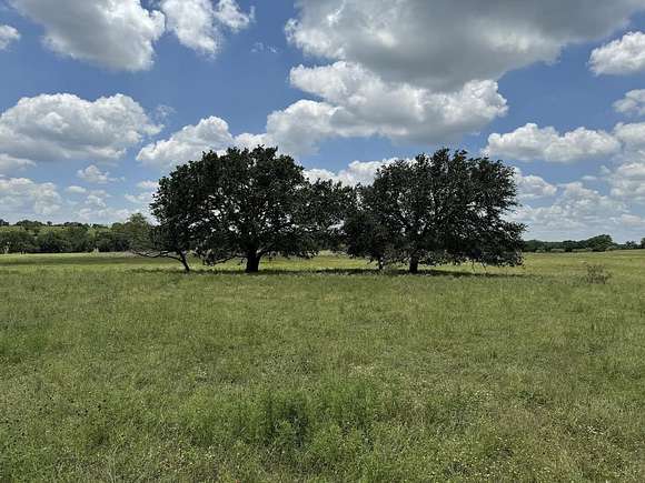 23.75 Acres of Agricultural Land for Sale in Briggs, Texas