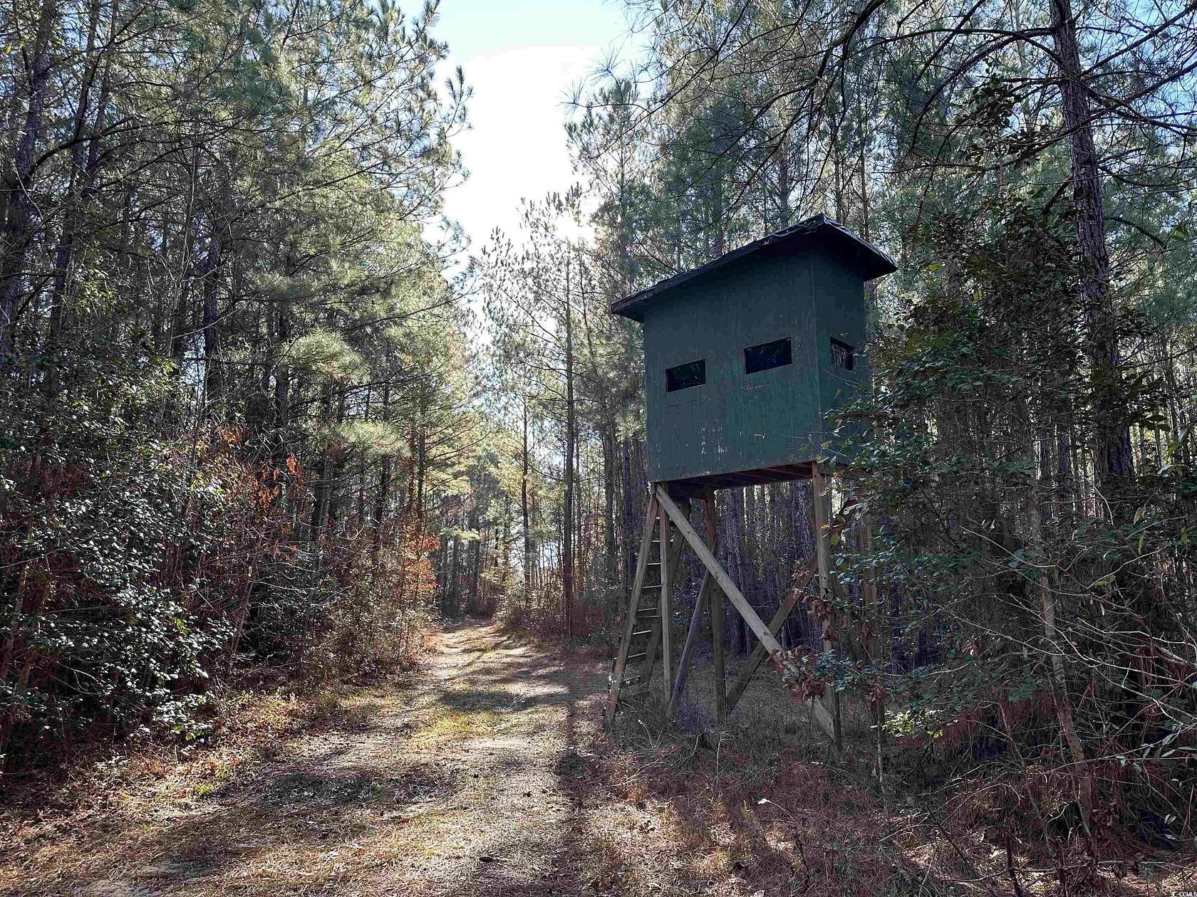 149 Acres of Recreational Land for Sale in Johnsonville, South Carolina
