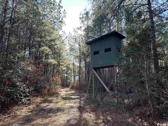 149 Acres of Recreational Land for Sale in Johnsonville, South Carolina