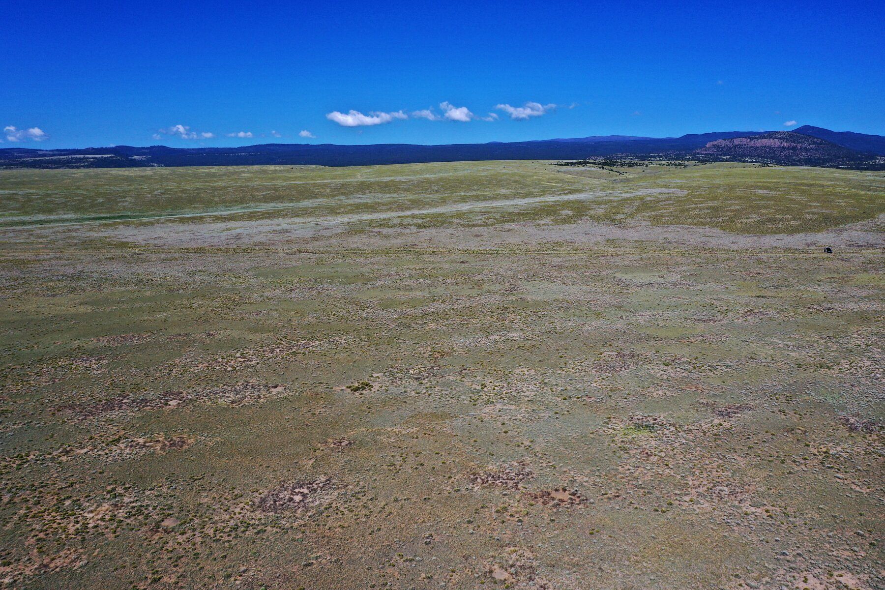 40 Acres of Recreational Land for Sale in La Jara, Colorado LandSearch