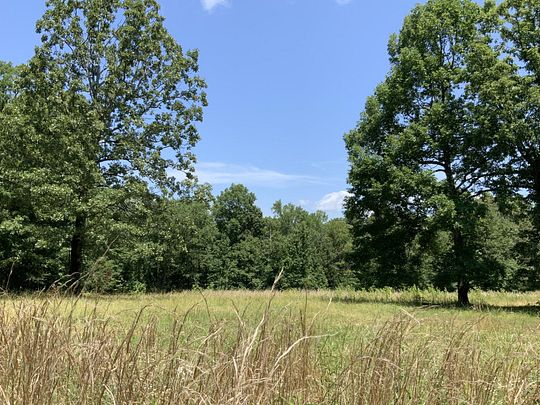 222 Acres of Recreational Land for Sale in Waverly, Tennessee