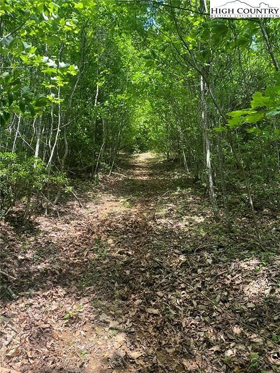 10.7 Acres of Land for Sale in Todd, North Carolina