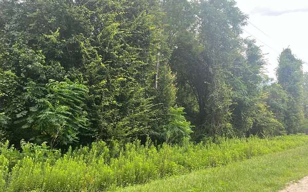 2 Acres of Residential Land for Sale in Jennings, Florida