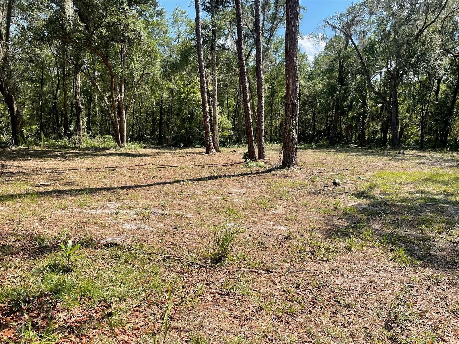 1 Acre of Land for Sale in Micanopy, Florida