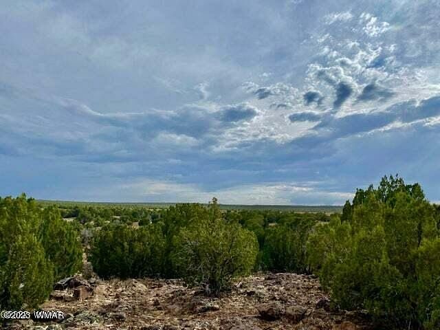 249 Acres of Land for Sale in Show Low, Arizona