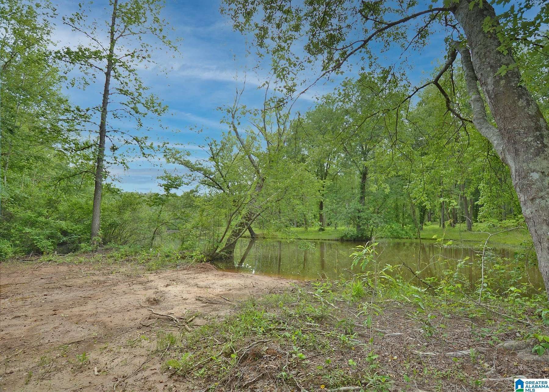 1.3 Acres of Land for Sale in Wedowee, Alabama