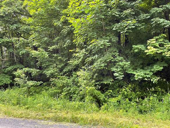 50 Acres of Recreational Land for Sale in Saint Albans, Maine