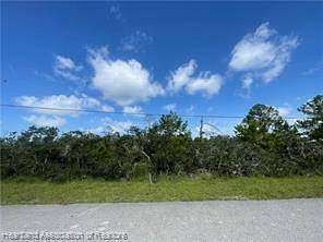 0.25 Acres of Residential Land for Sale in Lake Placid, Florida