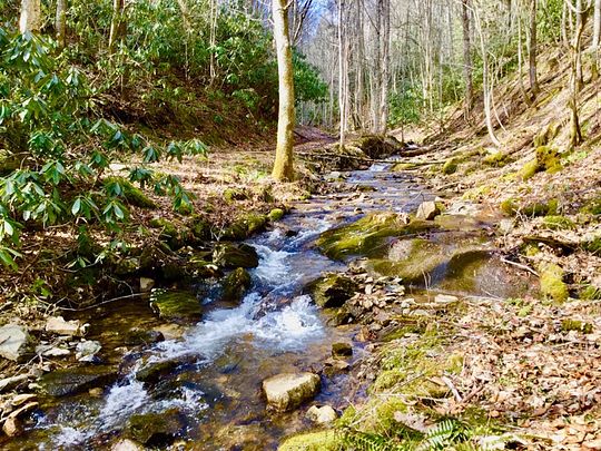 220 Acres of Recreational Land for Sale in Butler, Tennessee