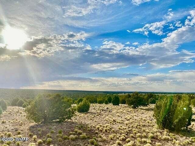 40.8 Acres of Land for Sale in Show Low, Arizona