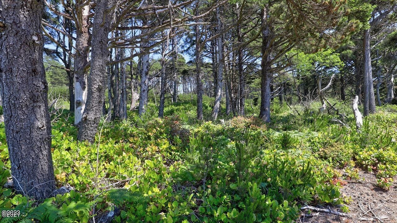 0.23 Acres of Residential Land for Sale in Seal Rock, Oregon