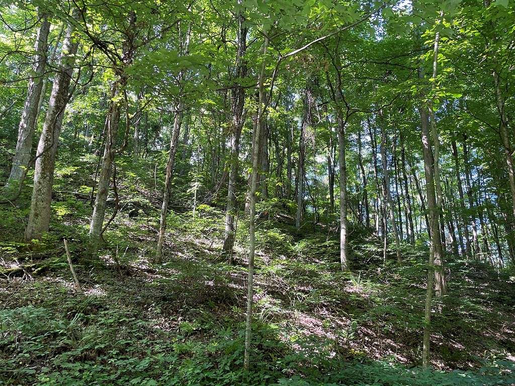 9 Acres of Residential Land for Sale in Lebanon, Virginia