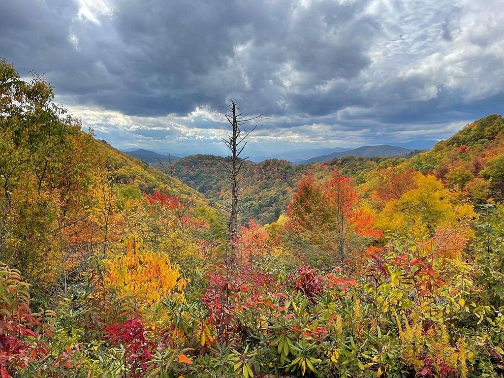 2.2 Acres of Land for Sale in Maggie Valley, North Carolina
