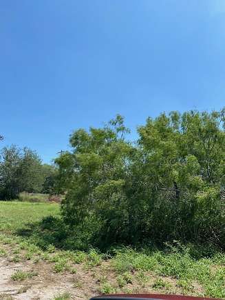 0.21 Acres of Residential Land for Sale in Alice, Texas