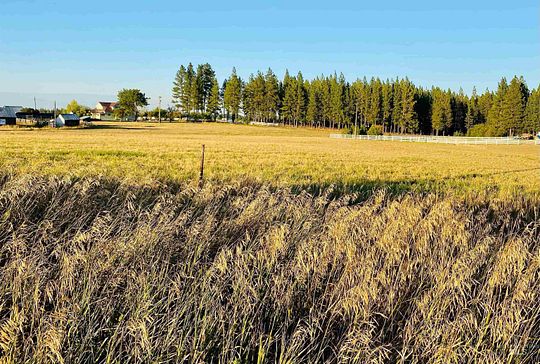 2.2 Acres of Land for Sale in Winchester, Idaho