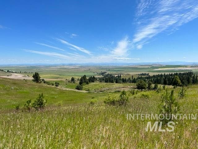 20 Acres of Land for Sale in Cottonwood, Idaho