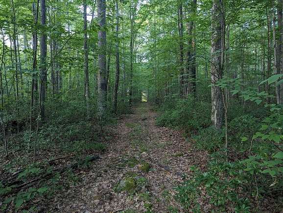 21 Acres of Recreational Land for Sale in Sigel, Pennsylvania