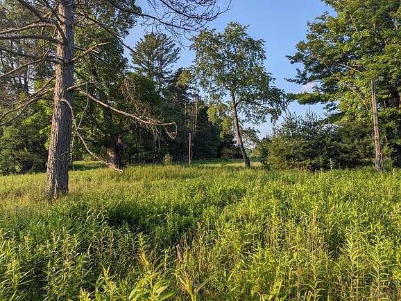 21 Acres of Recreational Land for Sale in Sigel, Pennsylvania