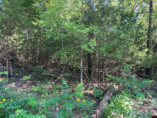 0.78 Acres of Residential Land for Sale in Midway, Arkansas
