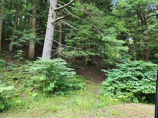 53.7 Acres of Recreational Land for Sale in Littleton, West Virginia