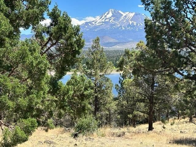 0.34 Acres of Residential Land for Sale in Weed, California