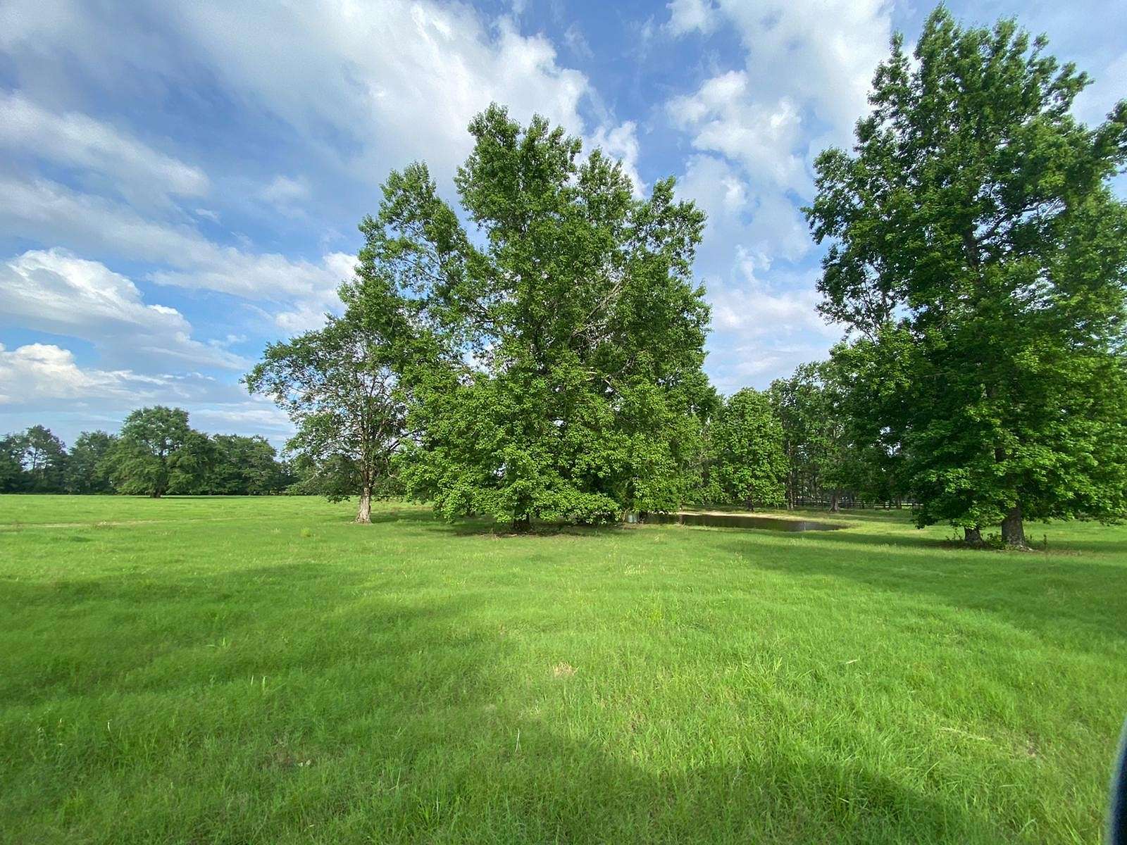 36.9 Acres of Agricultural Land for Sale in Aiken, South Carolina