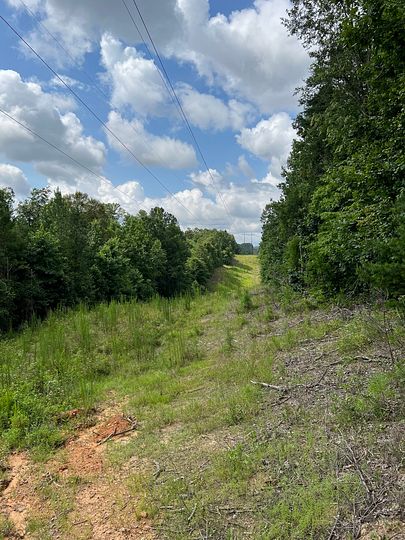 43 Acres of Recreational Land for Sale in Northport, Alabama