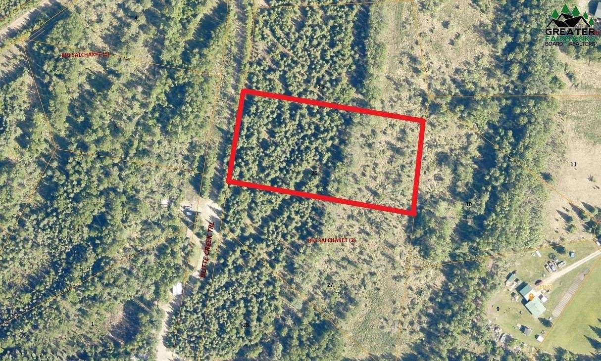 2 Acres of Residential Land for Sale in Salcha, Alaska