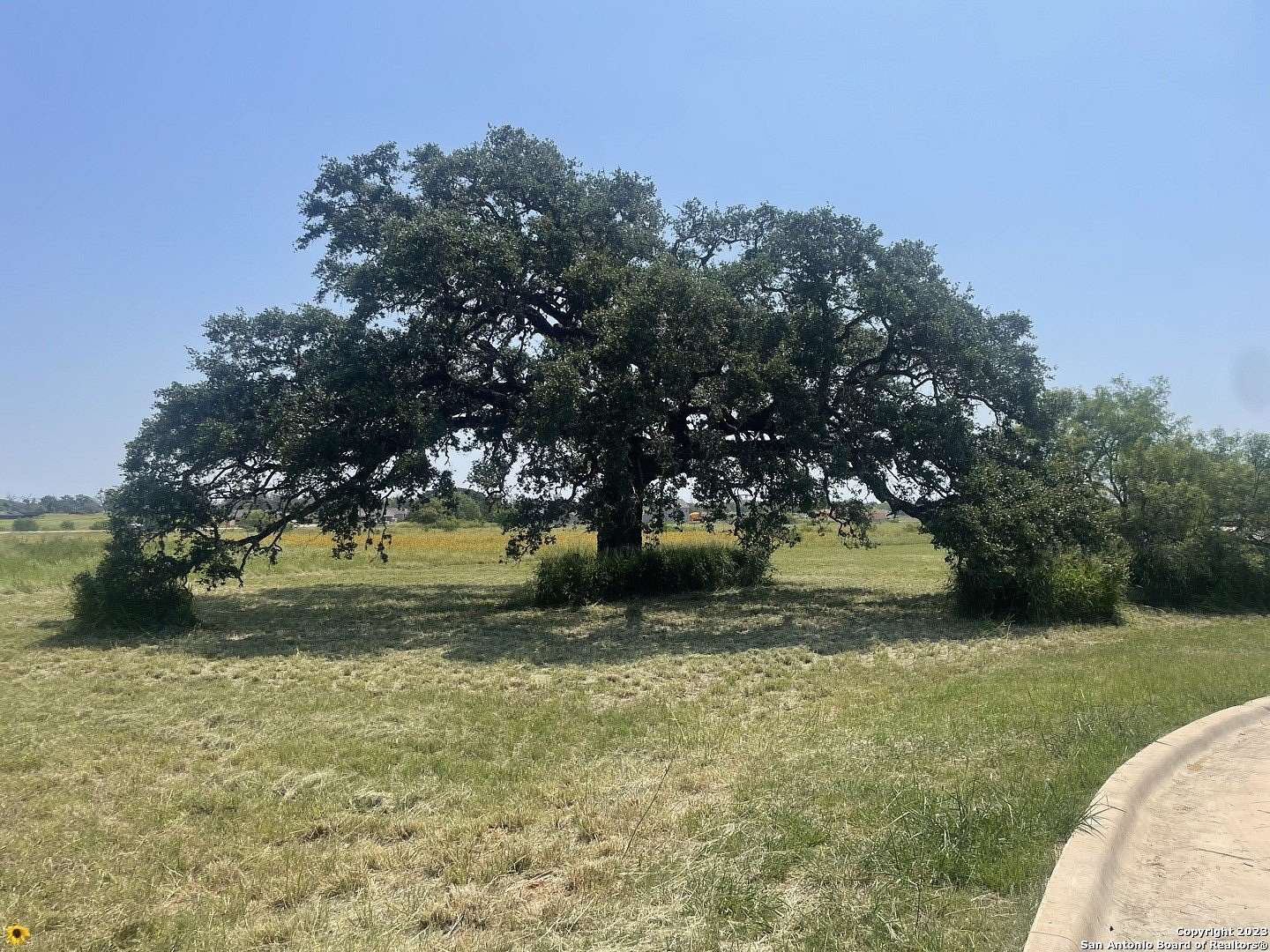 7 Acres of Mixed-Use Land for Sale in Pleasanton, Texas