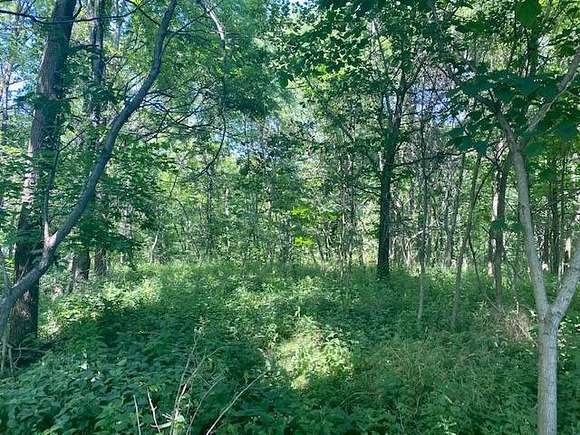 3.52 Acres of Land for Sale in Rushville, Illinois