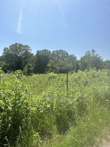 10 Acres of Land for Sale in Mayflower, Arkansas