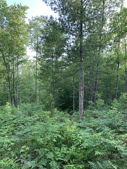 10.2 Acres of Land for Sale in Gaylord, Michigan