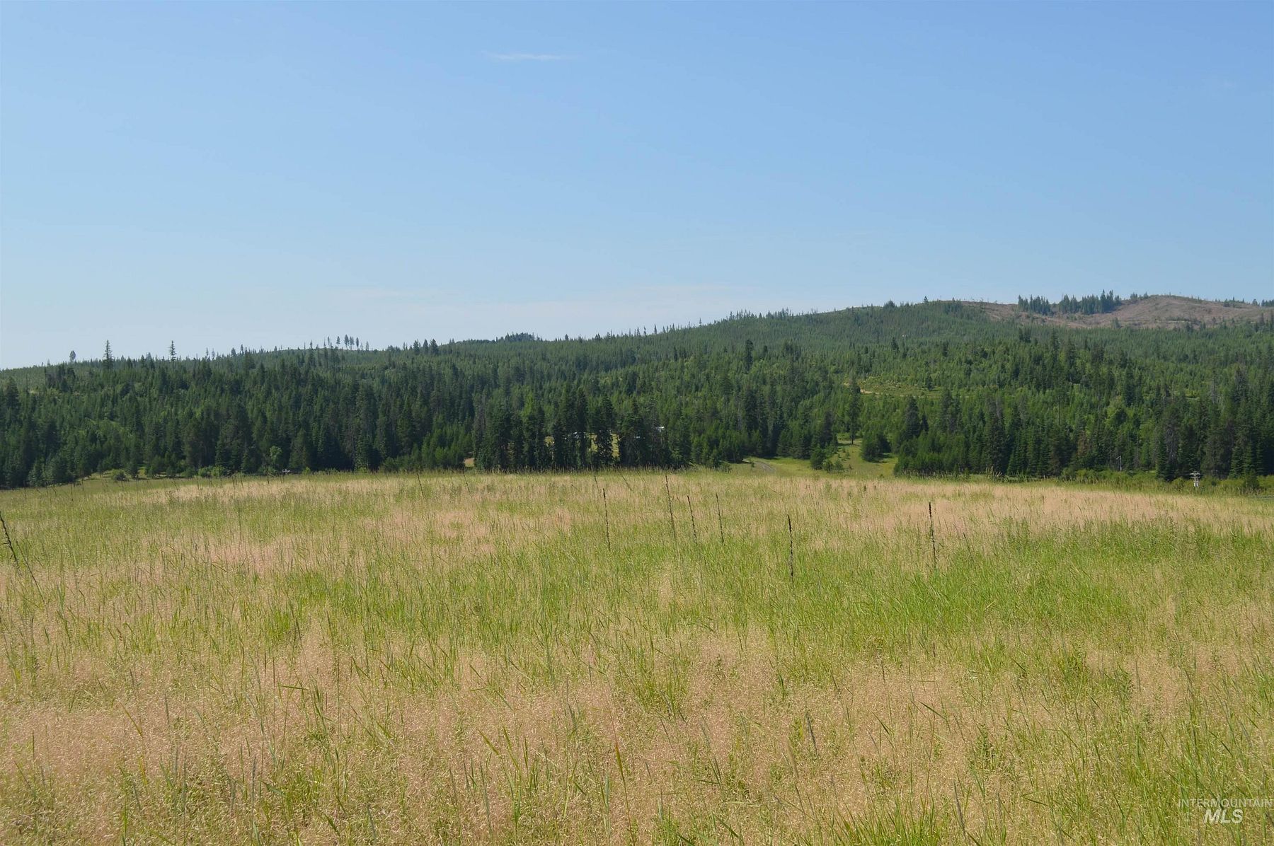 36.4 Acres of Agricultural Land for Sale in Deary, Idaho