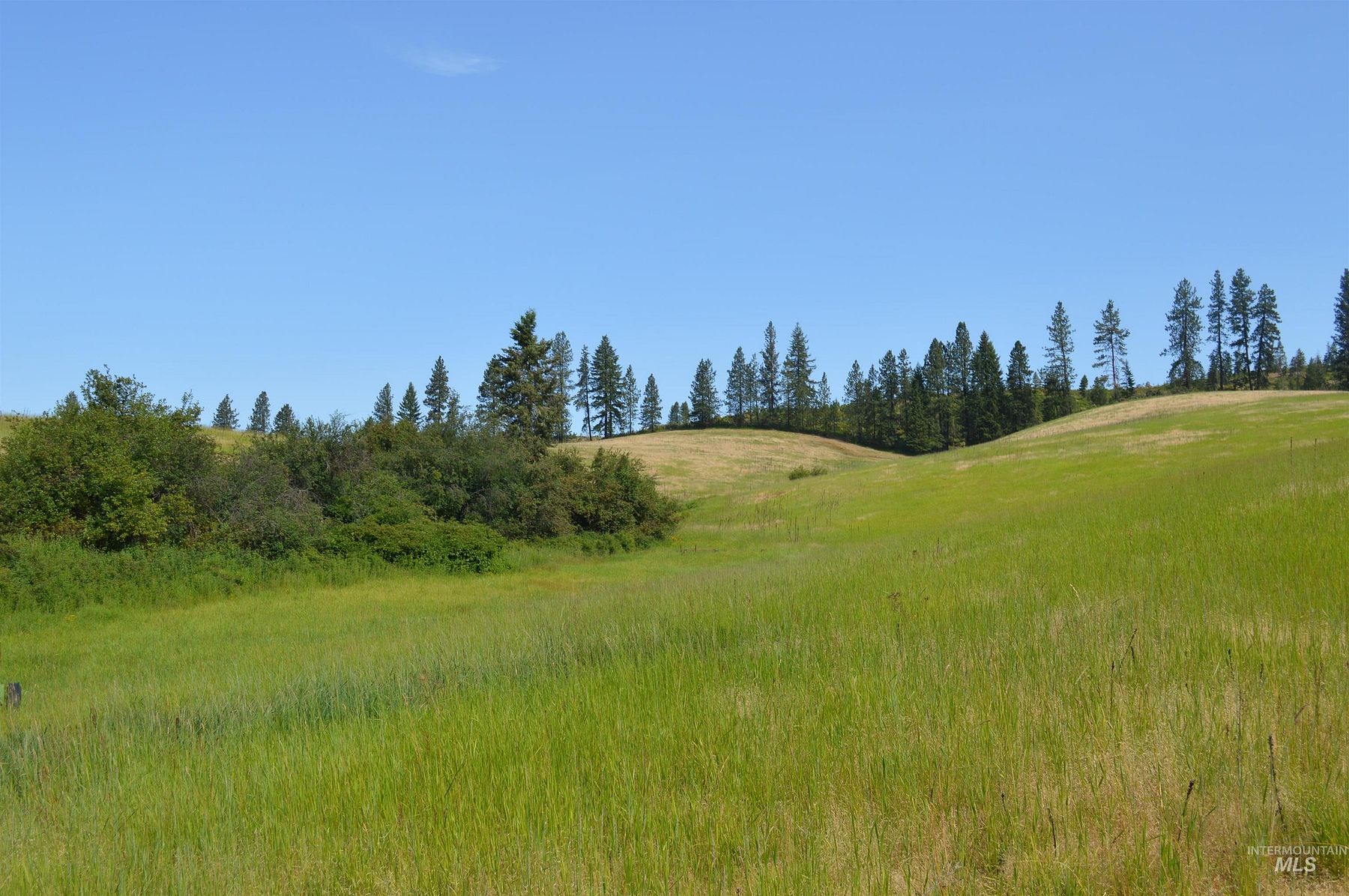 21.2 Acres of Agricultural Land for Sale in Deary, Idaho