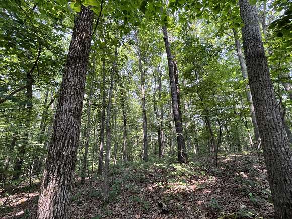 16 Acres of Recreational Land & Farm for Sale in Russellville, Alabama