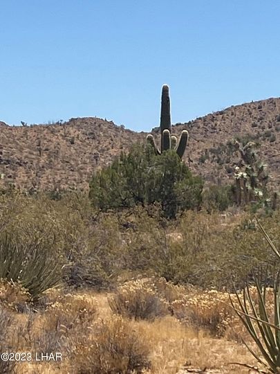 39.9 Acres of Land for Sale in Yucca, Arizona